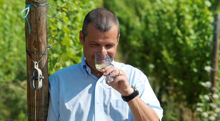 フランス ワイナリー