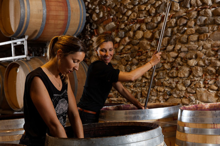 フランス ワイナリー