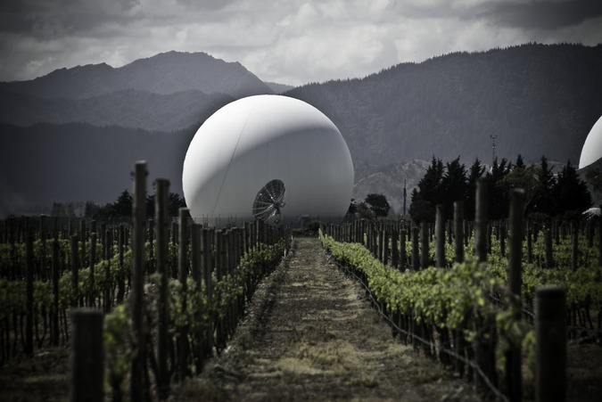 ニュージーランド ワイナリー